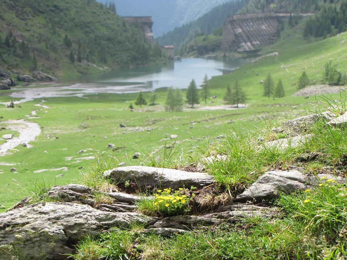 Laghi....della LOMBARDIA